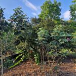 listing image thumbnail with ID 64944