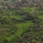 listing image thumbnail with ID 65266