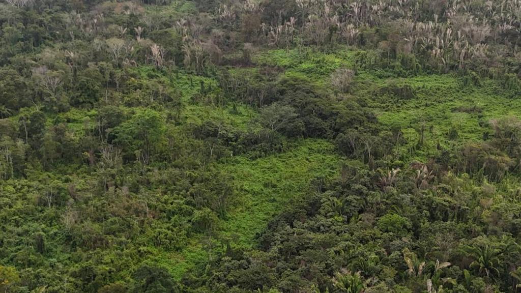 listing image with ID 65266