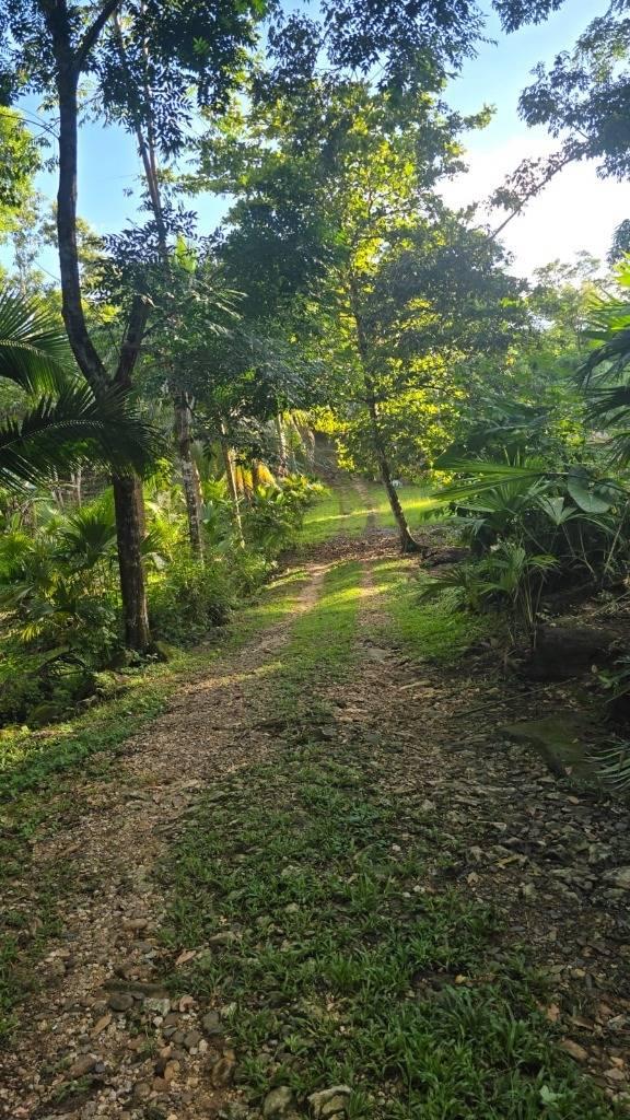 listing image with ID 66894