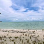 listing image thumbnail with ID 66124