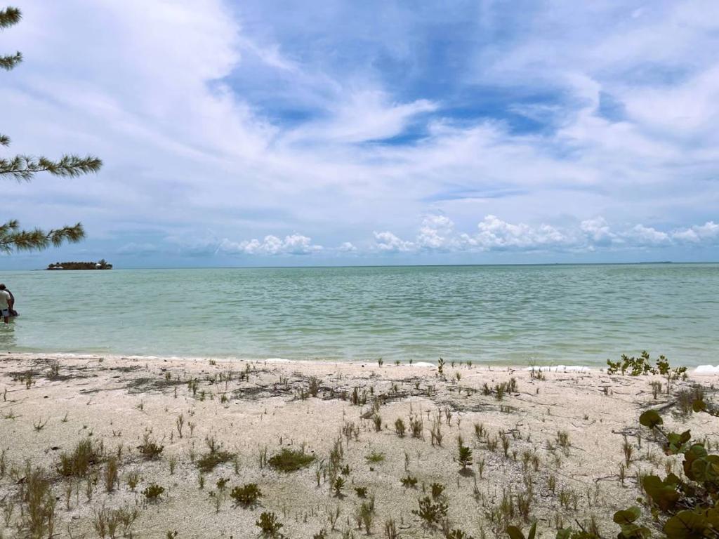 listing image with ID 66124