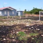 listing image thumbnail with ID 66529