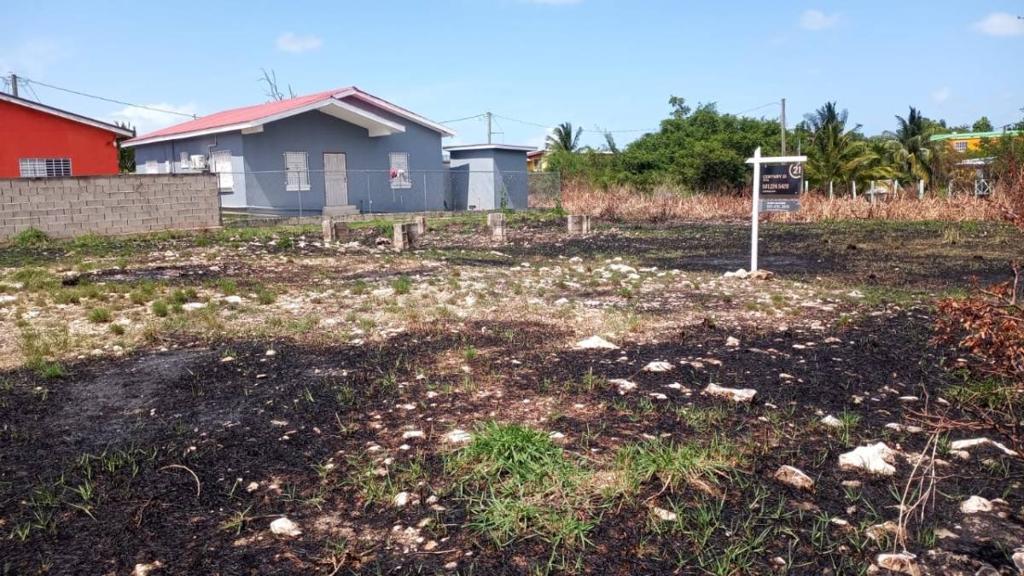 listing image with ID 66529