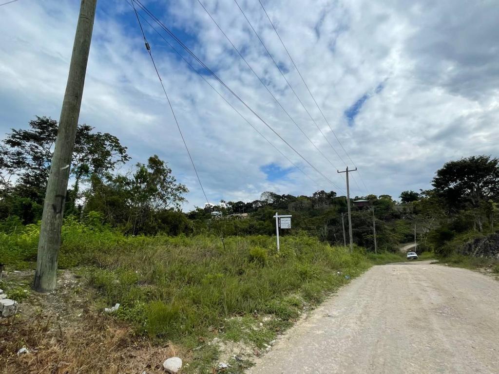 listing image with ID 63551