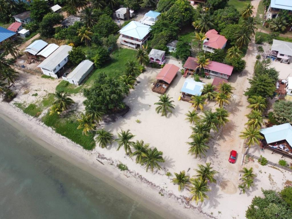 listing image with ID 65784