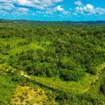 listing image thumbnail with ID 69112