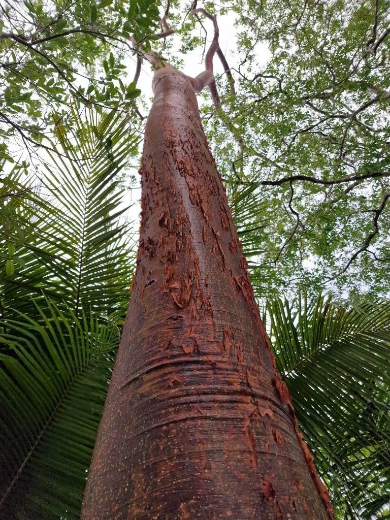 listing image with ID 63724