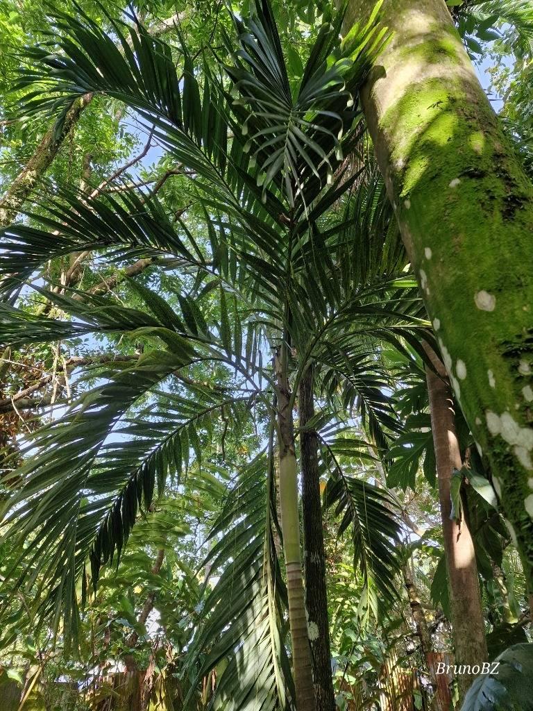 listing image with ID 67496