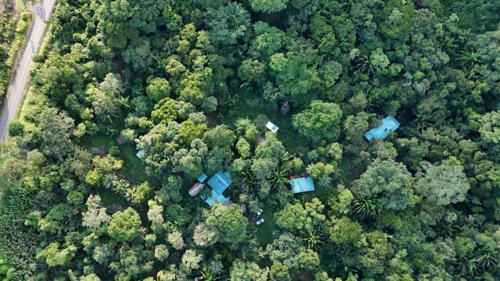 listing image with ID 66876