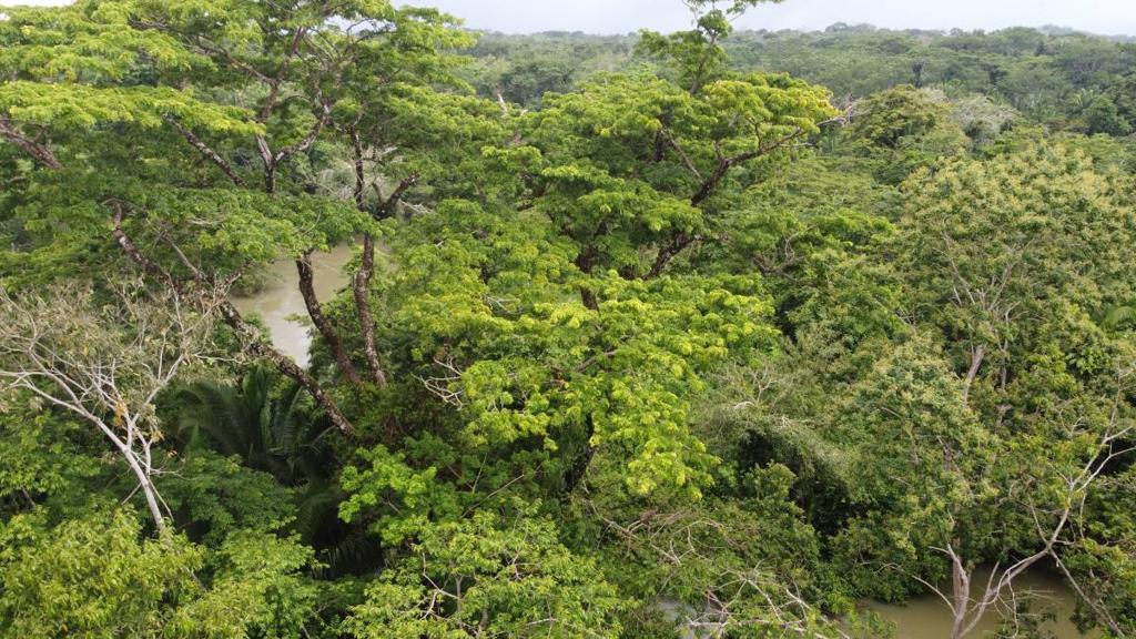 listing image with ID 66266