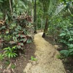 listing image thumbnail with ID 65883