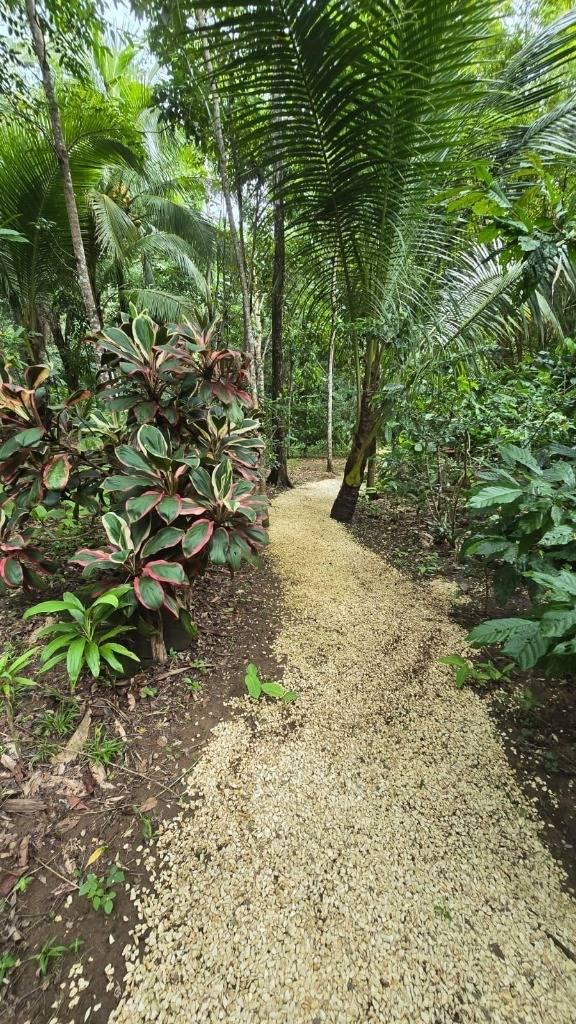 listing image with ID 65883