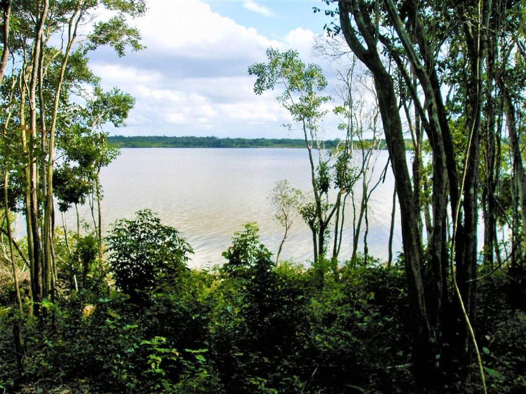 listing image with ID 64568