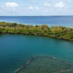 listing image thumbnail with ID 65089