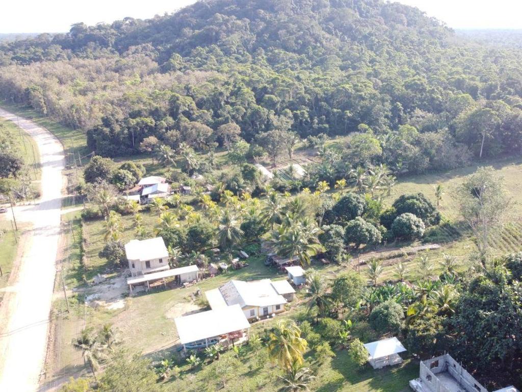 listing image with ID 66104