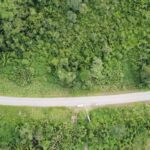 listing image thumbnail with ID 66575