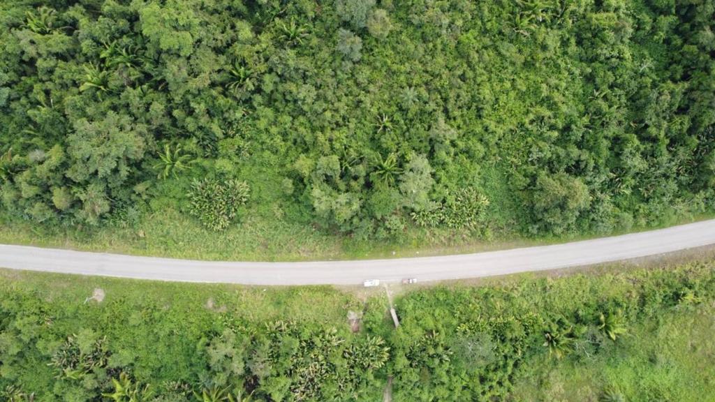 listing image with ID 66575