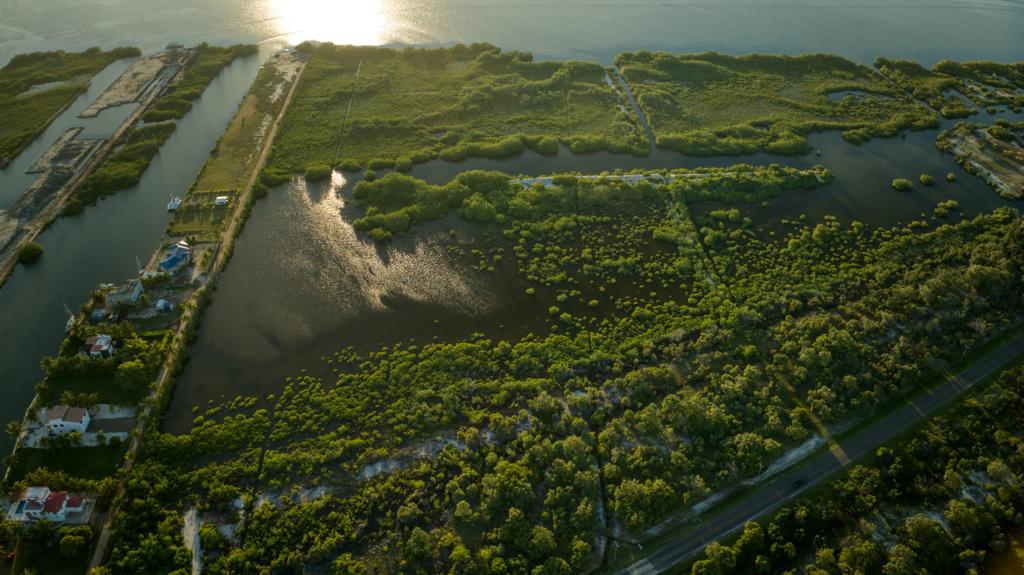 listing image with ID 68730