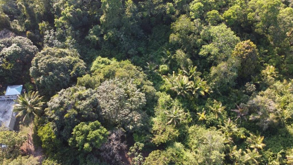 listing image with ID 66095