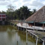 listing image thumbnail with ID 66712