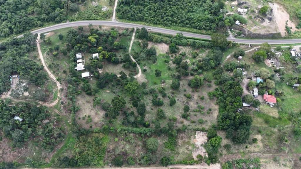 listing image with ID 67173