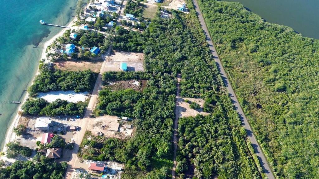 listing image with ID 67828