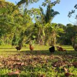 listing image thumbnail with ID 67791