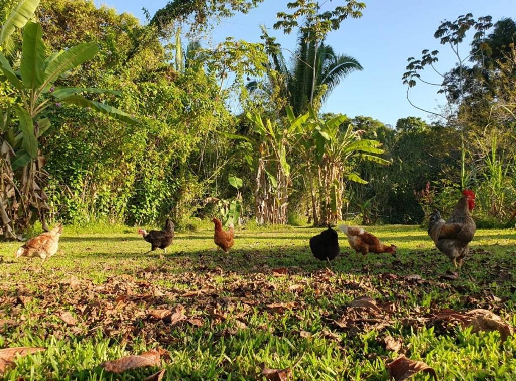 listing image with ID 67791