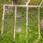 listing image thumbnail with ID 66090