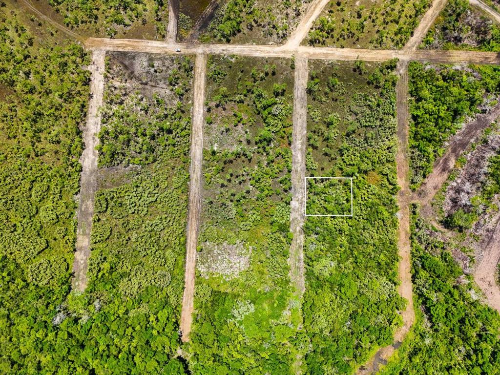 listing image with ID 66090