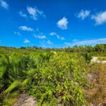 listing image thumbnail with ID 68185