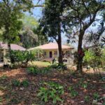 listing image thumbnail with ID 65573