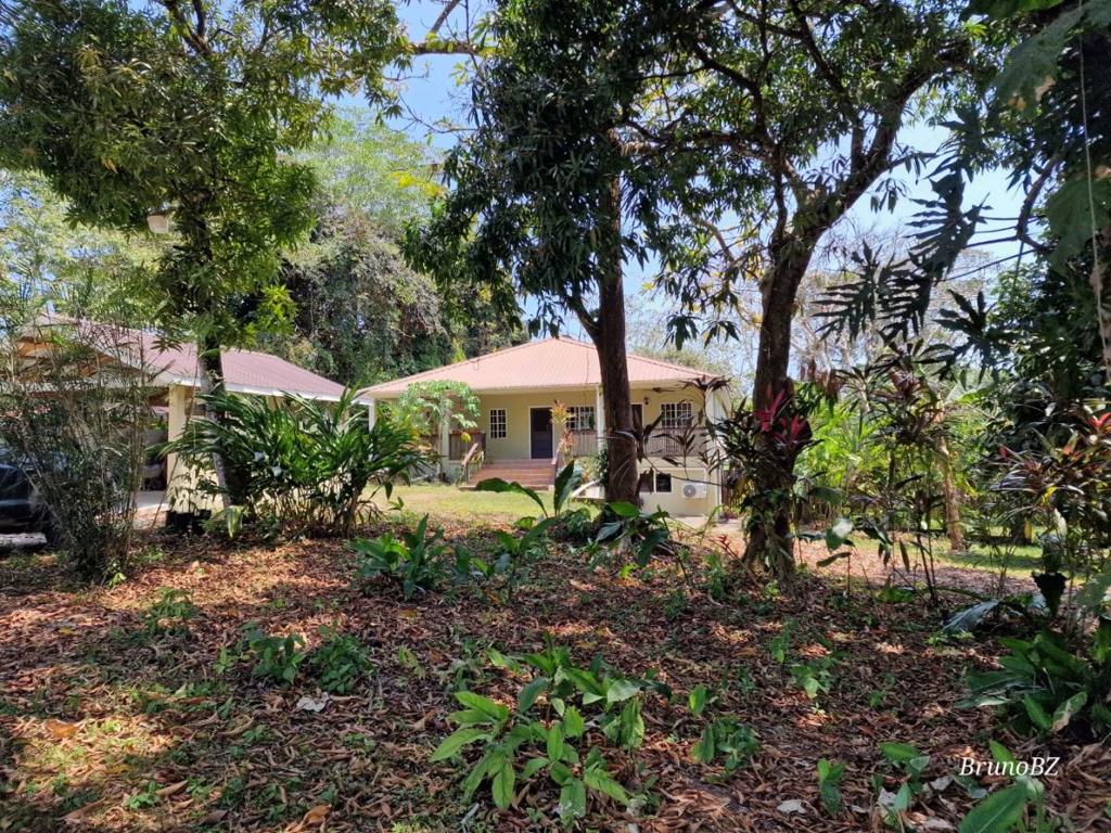 listing image with ID 65573