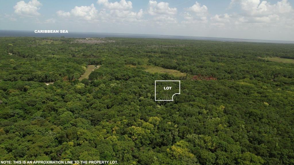 listing image with ID 69322