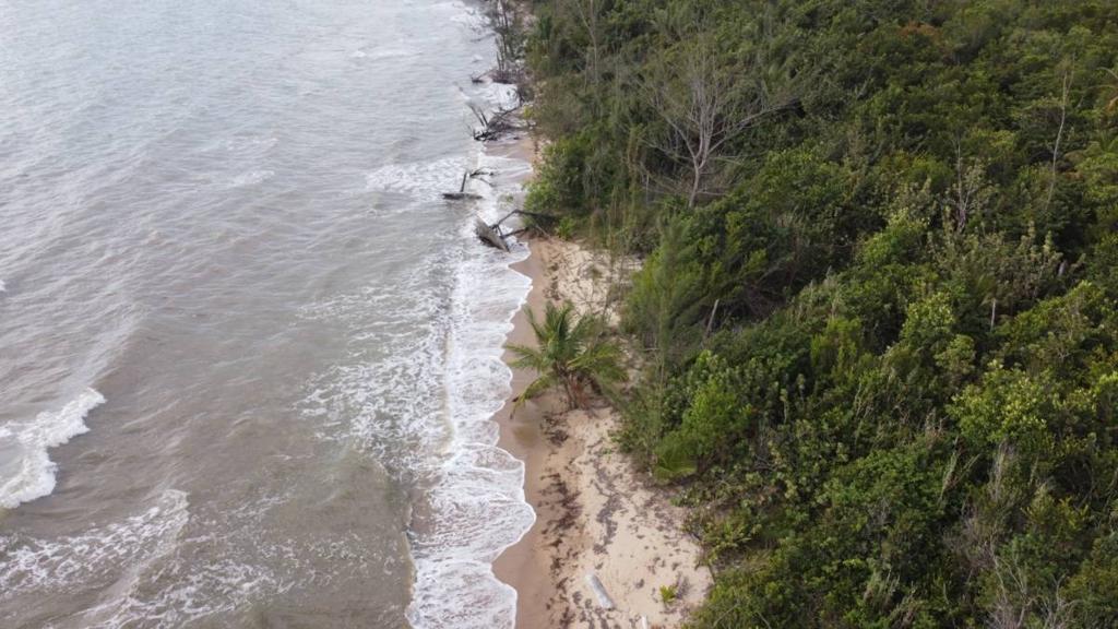 listing image with ID 64008