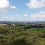 listing image thumbnail with ID 63764