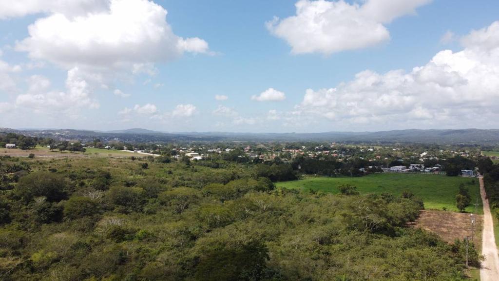 listing image with ID 63764