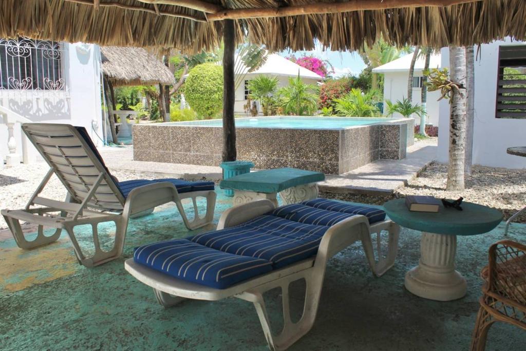 listing image with ID 67146