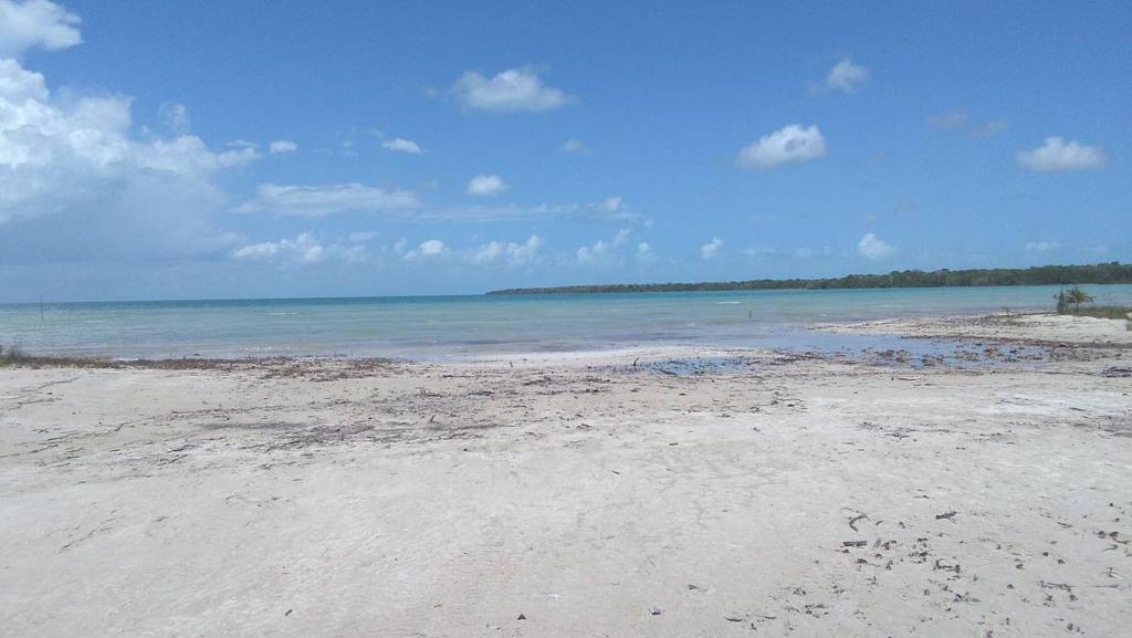 listing image with ID 64418