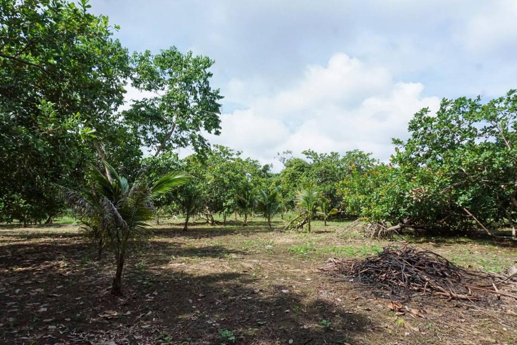 listing image with ID 67674