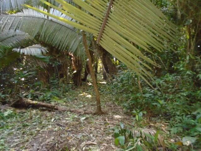 listing image with ID 64069