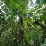 listing image thumbnail with ID 69174