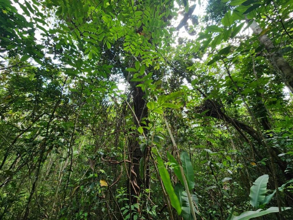 listing image with ID 69174