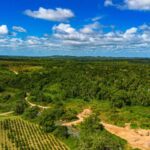 listing image thumbnail with ID 69120