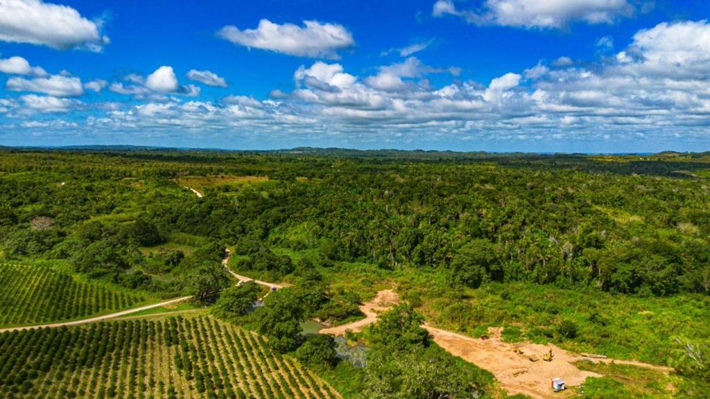 listing image with ID 69120