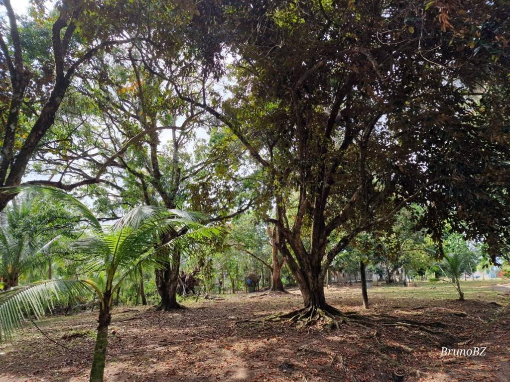 listing image with ID 67991