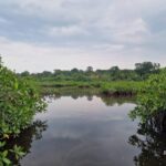 listing image thumbnail with ID 67842