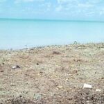 listing image thumbnail with ID 68206