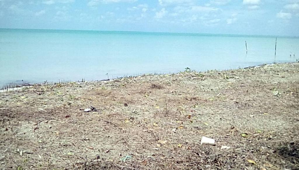 listing image with ID 68206